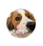 モネくん（個別スタンプ：2）