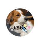 モネくん（個別スタンプ：3）