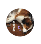 モネくん（個別スタンプ：7）