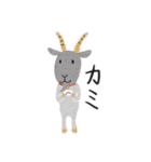 ゆるかわいい動物スタンプ1（個別スタンプ：24）