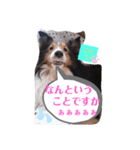 こまちのスタンプ第二段でふ。（個別スタンプ：4）