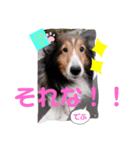 こまちのスタンプ第二段でふ。（個別スタンプ：5）