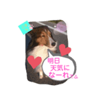 こまちのスタンプ第二段でふ。（個別スタンプ：8）