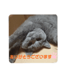 敬語であいさつユキちゃん（個別スタンプ：1）