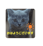 敬語であいさつユキちゃん（個別スタンプ：7）