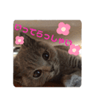 敬語であいさつユキちゃん（個別スタンプ：12）