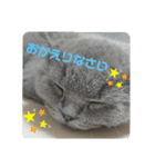 敬語であいさつユキちゃん（個別スタンプ：13）
