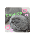 敬語であいさつユキちゃん（個別スタンプ：14）