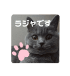 敬語であいさつユキちゃん（個別スタンプ：15）