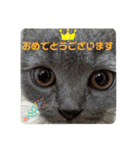 敬語であいさつユキちゃん（個別スタンプ：16）