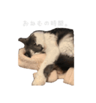 みっちゃんとちーすけ2（個別スタンプ：3）