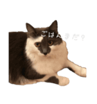 みっちゃんとちーすけ2（個別スタンプ：6）