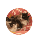 みっちゃんとちーすけ2（個別スタンプ：8）