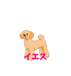 ころんのスタンプ vol2（個別スタンプ：8）
