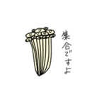 野菜は語る。（個別スタンプ：11）