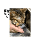 のんちゃんの生活用語（個別スタンプ：2）