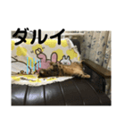 のんちゃんの生活用語（個別スタンプ：8）