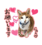 らいもんず（個別スタンプ：3）