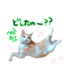 らいもんず（個別スタンプ：4）