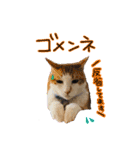 らいもんず（個別スタンプ：5）