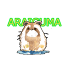 ARAIGUMA by watercolor 16sets（個別スタンプ：1）