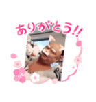 ジャンボさんズ7（個別スタンプ：1）