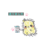 ハリちゃんの毎日（個別スタンプ：13）