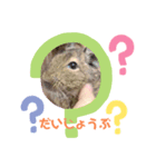 デグーのココア（個別スタンプ：5）