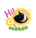 max and lion（個別スタンプ：5）
