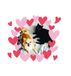max and lion（個別スタンプ：8）