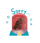 かわいい猫です（個別スタンプ：3）