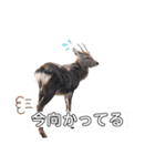 鹿(塩対応)（個別スタンプ：4）