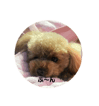 ルルちゃんのの日常スタンプ（個別スタンプ：7）