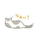 ね（寝）こ（個別スタンプ：1）
