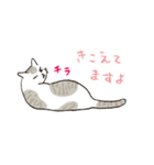 ね（寝）こ（個別スタンプ：2）