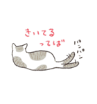 ね（寝）こ（個別スタンプ：3）