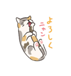 ね（寝）こ（個別スタンプ：14）