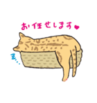 ね（寝）こ（個別スタンプ：16）