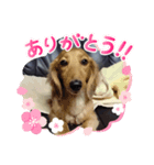 りずむ＆かのん（個別スタンプ：3）