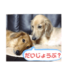 りずむ＆かのん（個別スタンプ：8）