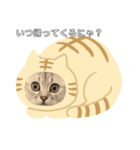 おねこのダリル（個別スタンプ：2）