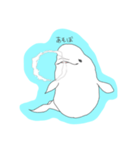 ゆるいシロイルカ（個別スタンプ：1）