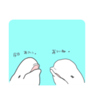 ゆるいシロイルカ（個別スタンプ：10）