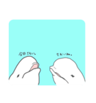ゆるいシロイルカ（個別スタンプ：11）