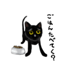 くろねこきゃっとぴぴぴ（個別スタンプ：19）