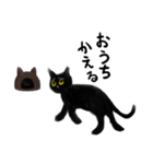 くろねこきゃっとぴぴぴ（個別スタンプ：22）