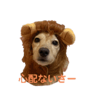 マメキラだっぺ兄妹②（個別スタンプ：2）