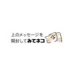 みてネコ #長押し閲覧防止スタンプ（個別スタンプ：1）