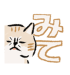 みてネコ #長押し閲覧防止スタンプ（個別スタンプ：2）
