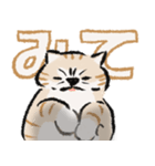 みてネコ #長押し閲覧防止スタンプ（個別スタンプ：4）